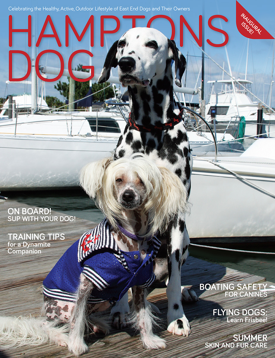 New Magazine HAMPTONS DOG Launches in New York